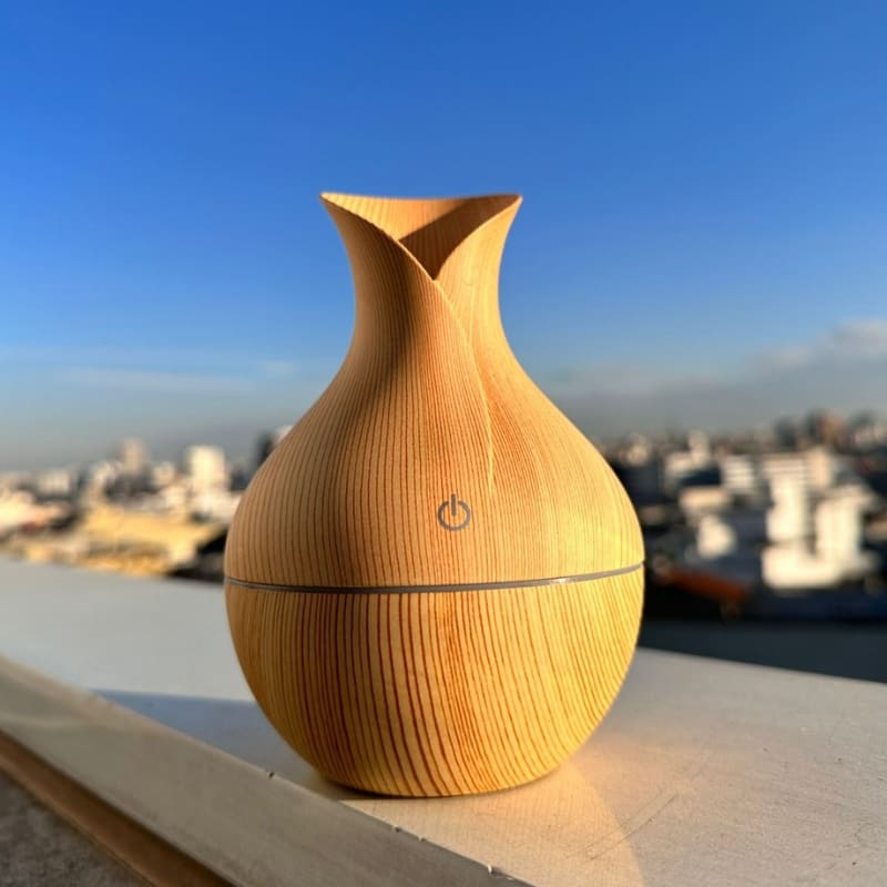 Umidificador e Difusor de Ar e Aromatizador de Ambientes Casa & Coza