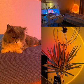 ProjectPRO™ l Projetor de luz LED 4-em-1 Casa & Coza
